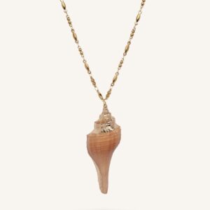 Nerina Shell Almynoma